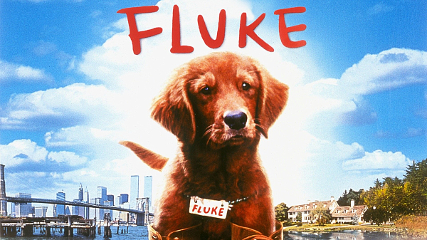 Flukas